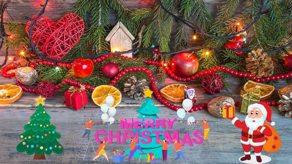 How to Clean Christmas Cactus Leaves Quick and Easy Method!