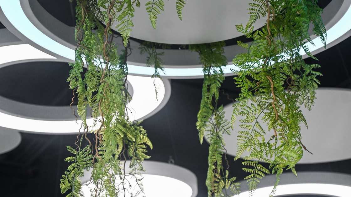 How to Hang Plants from Your Ceiling Without Making Holes