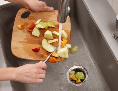 What foods should I avoid putting in a garbage disposal