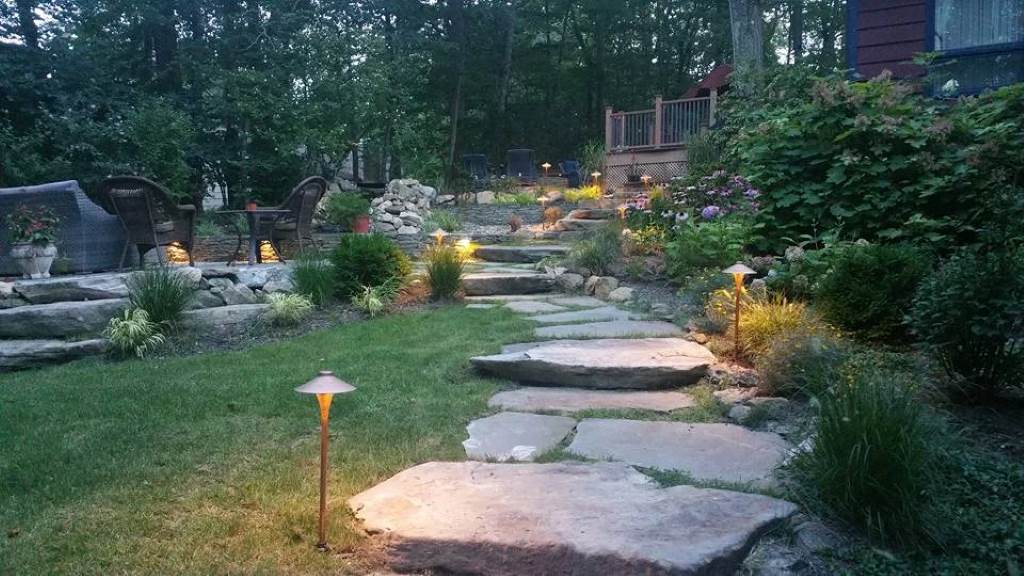 How to Choose the Right Trees and Shrubs for Your Landscape - Accure Home