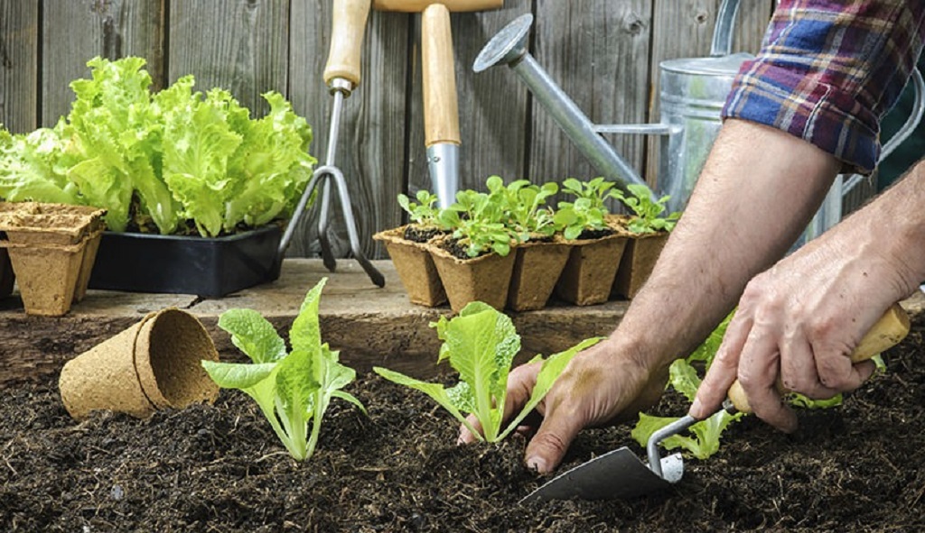 How can beginners start with sustainable gardening tools