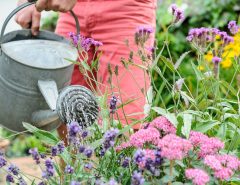 Can I automate my watering system