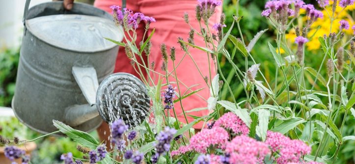 Can I automate my watering system