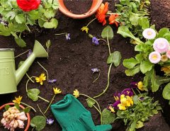 Where can I buy sustainable gardening tools in Canada