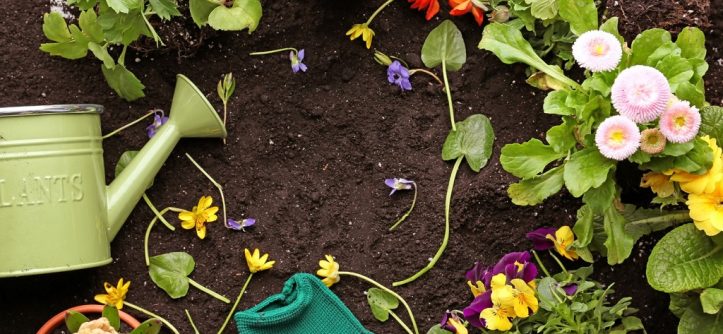 Where can I buy sustainable gardening tools in Canada