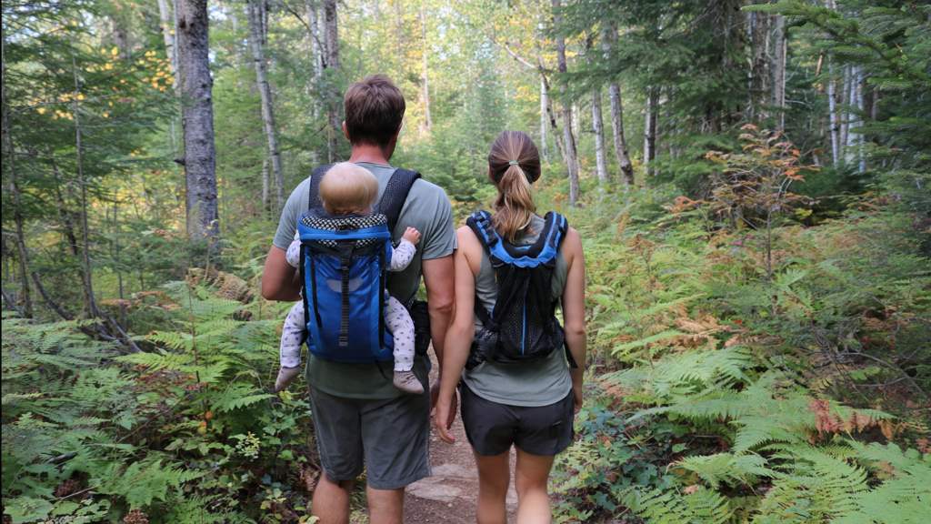 Family hiking using breathable mesh supportive baby carrier on back.
