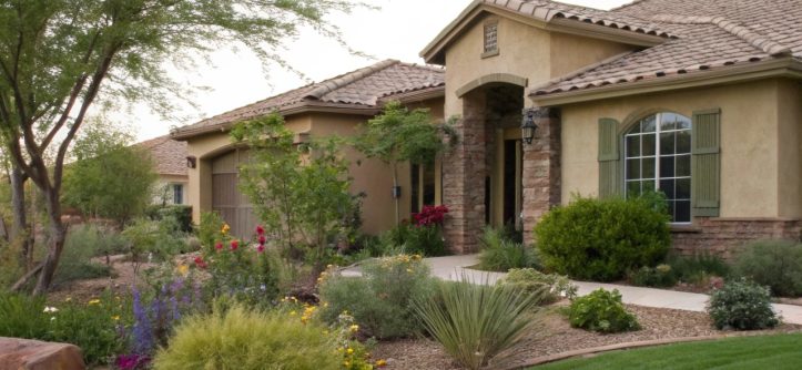 Eco-friendly pest control in Phoenix. Protect your Arizona home from scorpions, ants, and termites using safe, sustainable, and highly effective strategies.