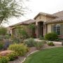 Eco-friendly pest control in Phoenix. Protect your Arizona home from scorpions, ants, and termites using safe, sustainable, and highly effective strategies.