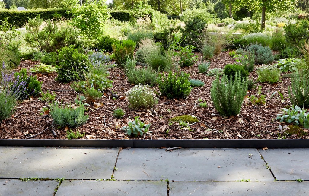 Metal garden edging: modern metal garden border separating mulch beds from paving